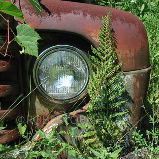 F1-Headlamp-550s Secret Trip Logo, created by Robert OBrien in Adobe Illustrator