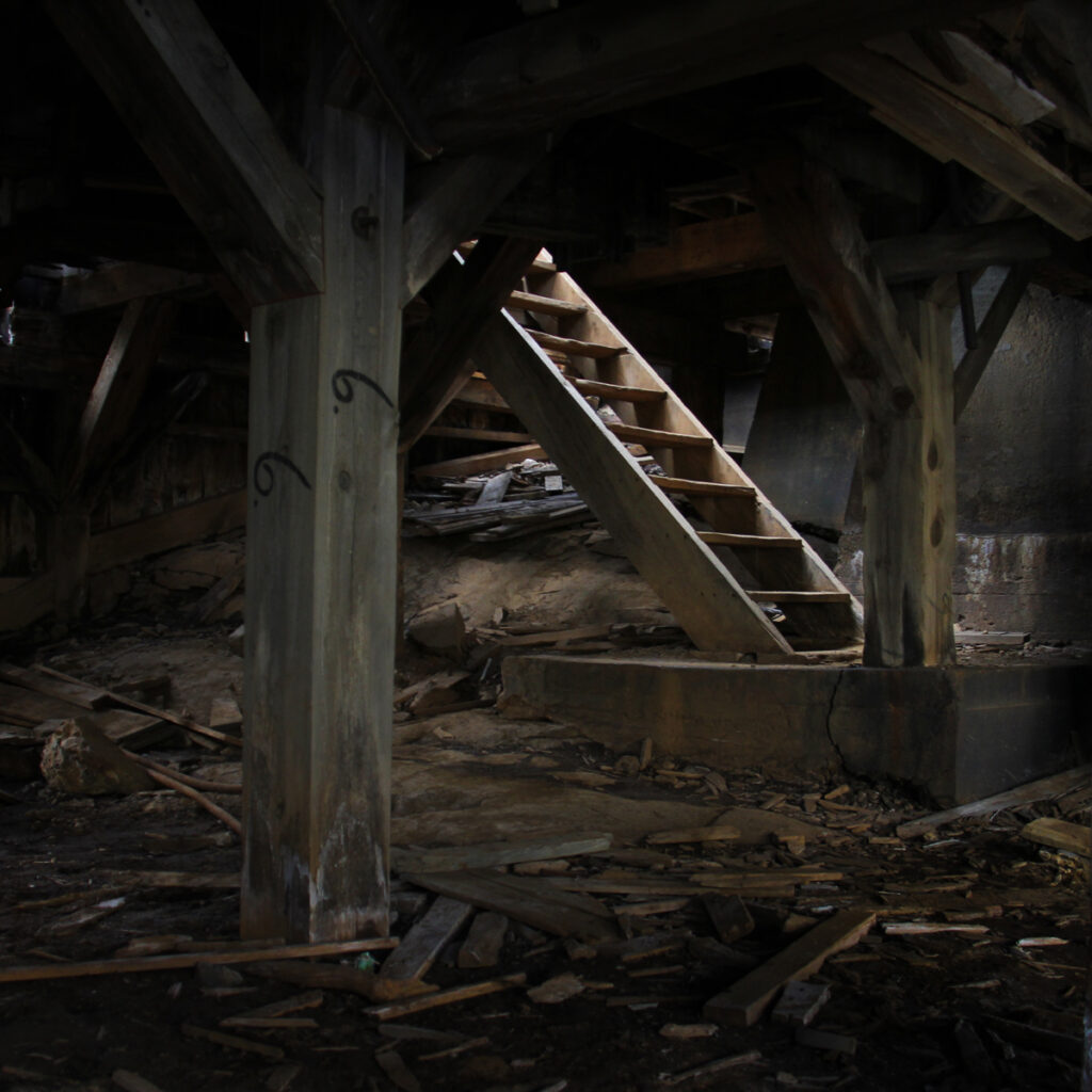 Animas_IMG_0716 Rugged Strength + Fitness Equipment logo